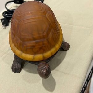Turtle with glass shell and iron body night light